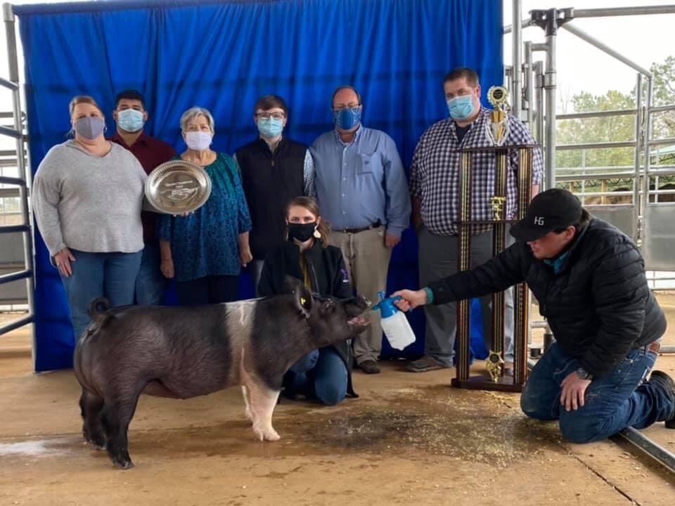 Local Hog Show results